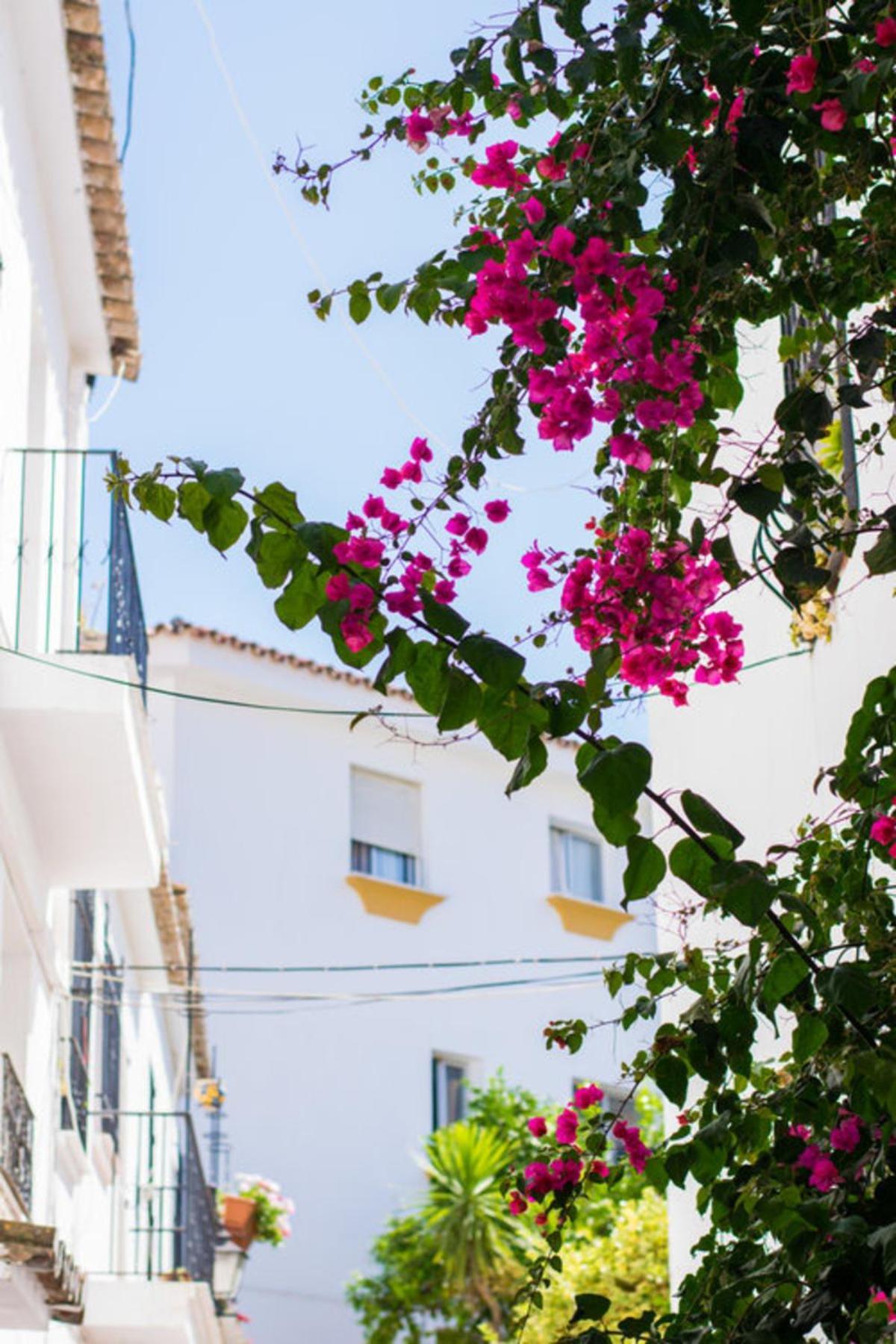 Superior 3Br Golfla Apartment Minutes From Puerto Banus & Marbella Málaga Buitenkant foto